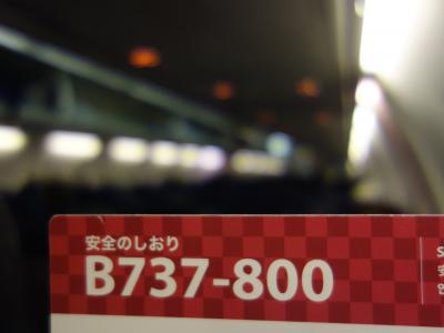 新千歳から中部までボーイング737-800に乗りました。快適な飛行でした。