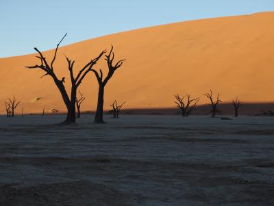 ナミビア周遊（６/６）　砂丘三昧のナミブナウクルフトN.P.（２）「デッドフレイ」