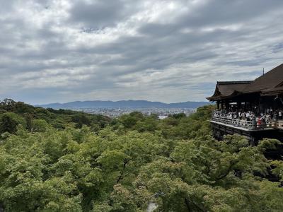期限に追われ、マイルでパックツアー
