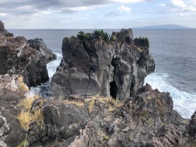 のんびり伊豆旅行*1泊2日*大室山、城ヶ崎海岸、エクシブ伊豆