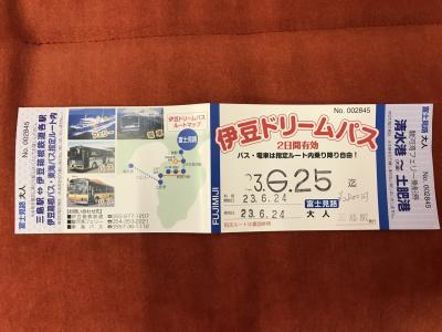 伊豆ドリームパス富士見路で、三島～大河ドラマ「鎌倉殿の13人」ゆかりの修善寺～土肥温泉～清水と巡る