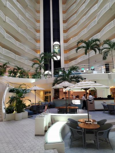 沖縄 阪神タイガース宜野座キャンプ見学旅~2日目 ANAインターコンチネンタル万座リゾート