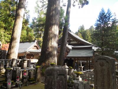 ① ジェットスターで行く関空 [和歌山県] 高野山（前半）