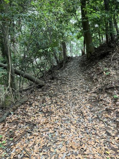 2023.06の旅ー②多武峰と阿倍文殊院