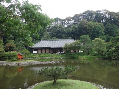 浄瑠璃寺もアジサイがきれいでした。ここの庭園もすばらしいところです。