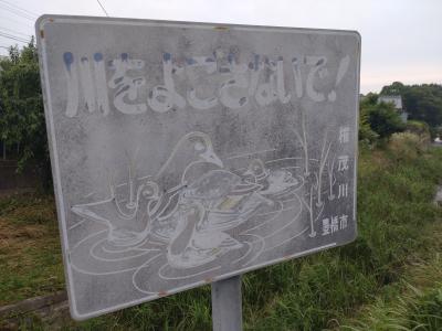 【お散歩テケテケ】ほんの少しだけ歩こう。 <権茂川>