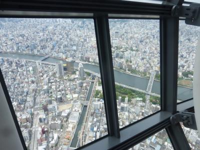 JAL国内線ファーストクラス＆クラスＪ利用 東京２泊旅【東京スカイツリー 展望デッキ・天望回廊入場編】