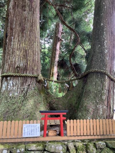 2023.06の旅ー③長谷寺、龍穴神社、室生寺