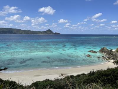 今年最初の離島一人旅☆奄美大島、加計呂麻島☆