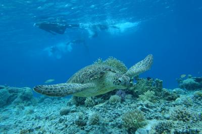 ４travelで出会った仲間と海活　夜の那覇～座間味へ移動　無人島へドボン