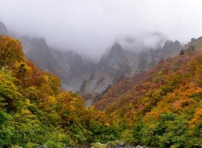 2023紅葉探し 雨の一ノ倉沢