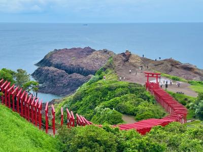 山口の旅。角島灯台•元乃隅神社はいい景色。青海島遊覧は激推しスポット！！足を伸ばして津和野にも。お城めぐりは津和野城。