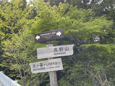 高野山から熊野古道を歩く①