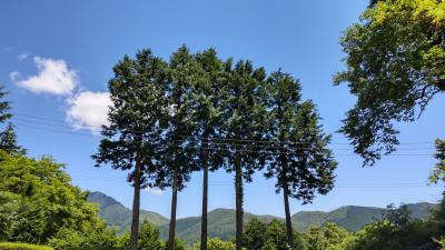 行きたい所全部行くドライブ