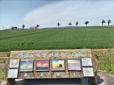 富良野・美瑛・釧路湿原　ひがし北海道ぐるっと感動２０景めぐり３日間（２）