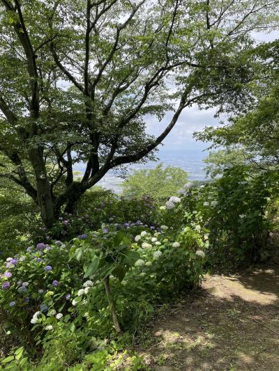 額田園地あじさい園