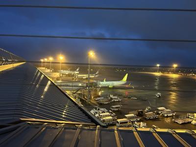 現地2泊　2023バリ島ウブドひとり旅　その1