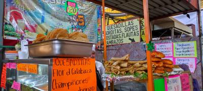 メキシコ１５日間の旅①　メキシコシティ編