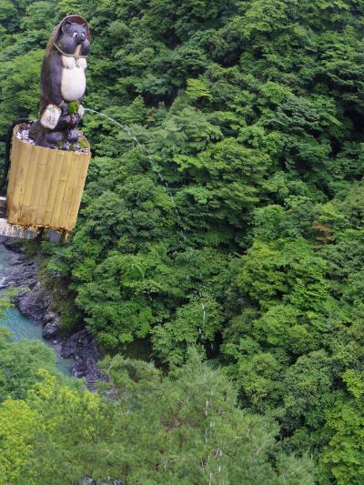 祖谷のぉ～かずらばしゃぁゆらゆらと～♪祖谷そばと大川村