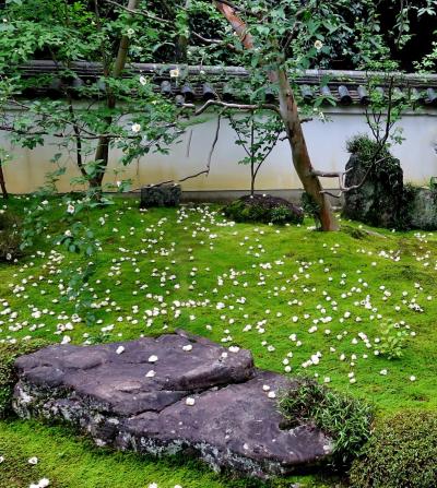 月一京都散歩（6月）旬の甘茶と沙羅双樹を特別公開「霊源院」～「東林院」