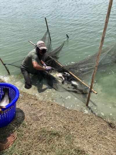 2023 GW バンコク 2