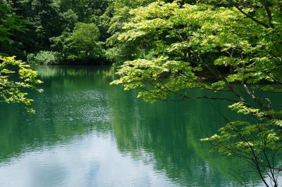 長井古種を観に山形へ【１】～蔵王温泉～