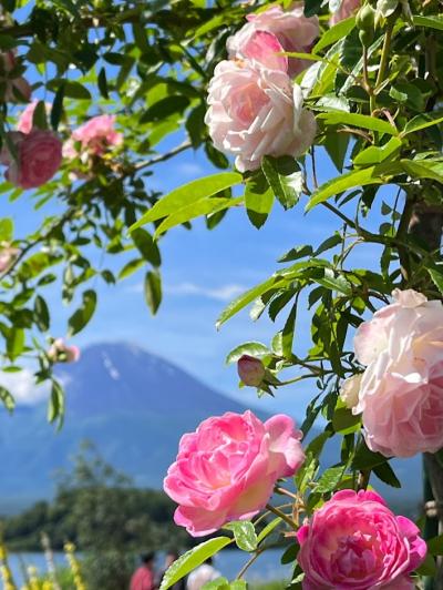 梅雨だけど・・富士山とお花と　一泊旅