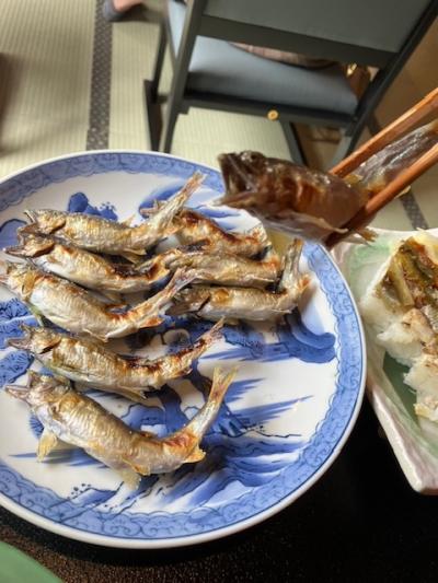 久々の初夏の北陸旅２０２３～（１）食はやっぱり富山で。寿司と鮎！