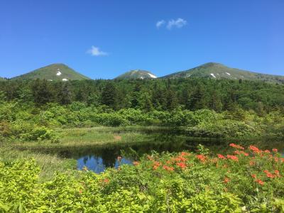 下北半島・酸ヶ湯温泉・八戸　ドライブ旅