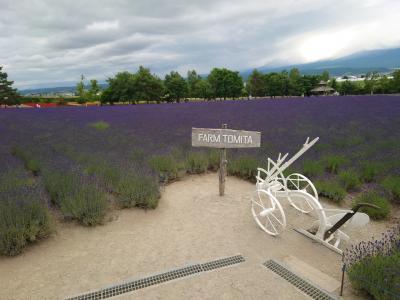23年6月北海道旅行3泊4日