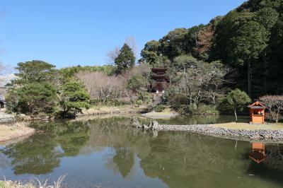 春のいざいざ奈良旅♪　Vol.335　木津川市：春の美しい「浄瑠璃寺」♪
