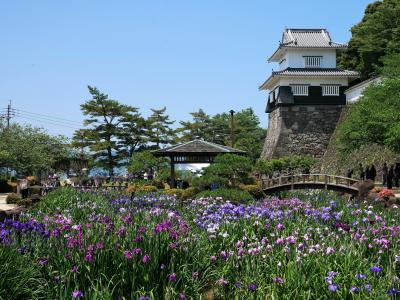 JR九州ウォーキング 2023春 大村公園の裏スポット！大村湾に浮かぶ二つの神社と花菖蒲
