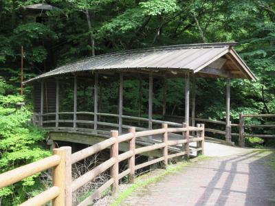 鹿教湯温泉と霧ケ峰のニッコウキスゲ