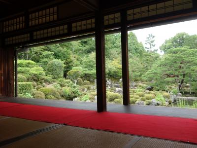 等持院の庭園は，歩くのもいいが，座敷からの眺めがすばらしい。