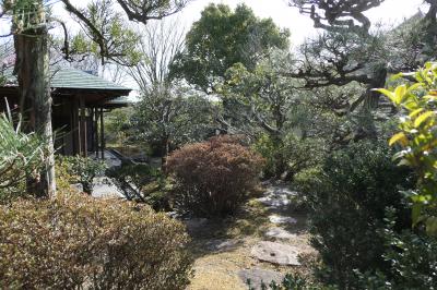 春のいざいざ奈良旅♪　Vol.340　奈良市：春の風景「法華寺」♪