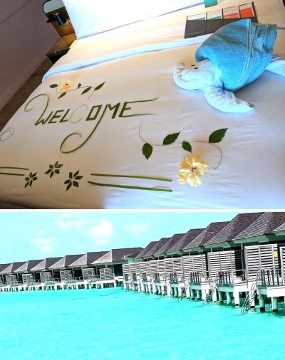 新品未開封日本未発売Michael Friedel Maldives モルディブ maldives #モルディブ#malecity #youtube マーレの橋で