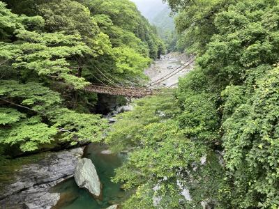 かけあし四国たび　桂浜、祖谷渓、金毘羅もうで、そして帰路