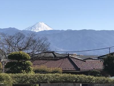 春の石和温泉の旅