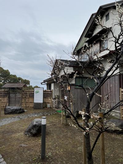 熱海温泉　その②　ブルーノ・タウト設計の旧日向家熱海別邸を見学しました。