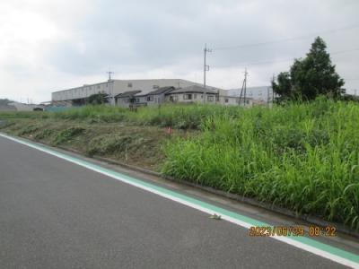 柏市の十余二・高田台牧野馬土手・柏の葉中学校南側