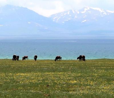 団塊夫婦の中央アジア絶景の旅・２０２３－（10）天空の湖と大草原の織りなす絶景の地・ソンクル湖ヘ