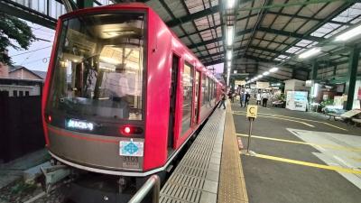 箱根☆その２ 大涌谷、強羅、あじさい電車など。