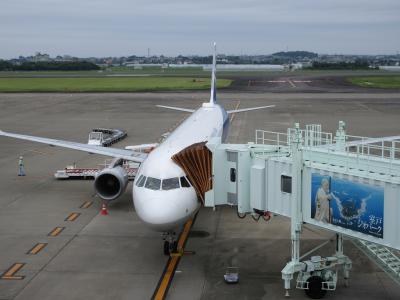 ANAで行く土佐高知の旅