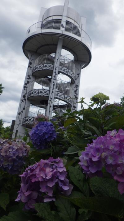 ぶらり小牧 市民四季の森公園