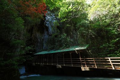 薫風爽やかなGWドライブ旅 in 山口県+福岡+北九州+津和野★2023　04　4日目【美祢】