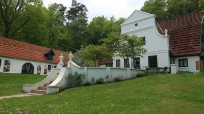 ドイツの初夏、2023(その7)