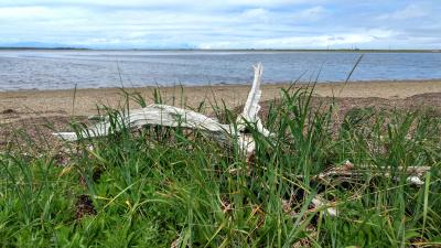 北海道 道東一人旅 2023 ②