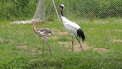 北海道 道東一人旅 2023 ⑤