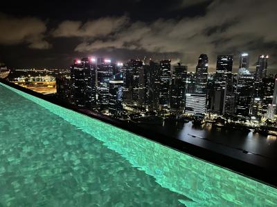 久しぶりの海外旅行はシンガポールから！マリーナ ベイ サンズのインフィニティプールからの眺めが素敵でした！
