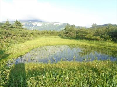 夏の月山肘折温泉ルート（２）